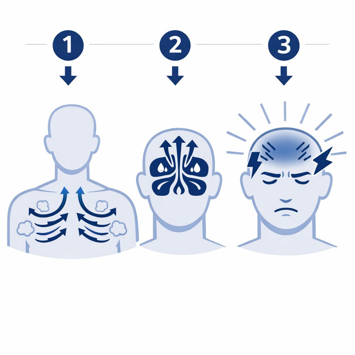 Infographic steps showing how coughing increases chest, sinus, and head pressure.