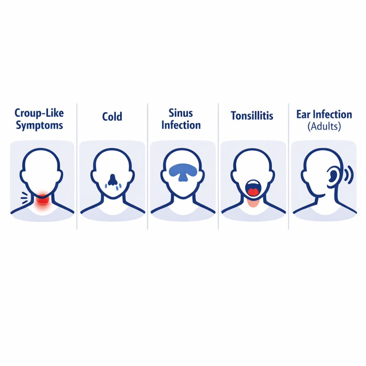 Infographic comparing adult symptoms of croup, cold, sinus infection, tonsillitis, and ear infection.